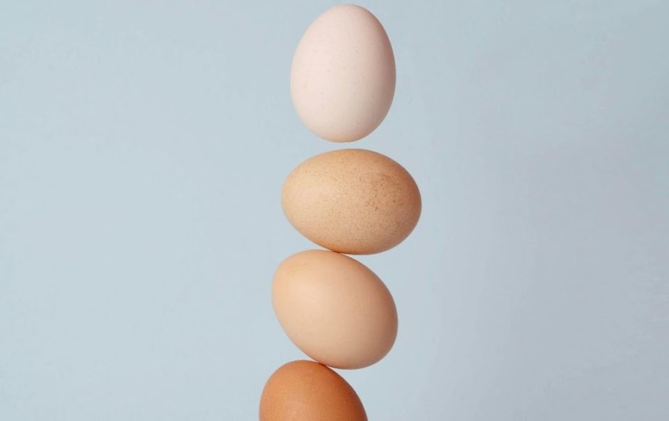 Αυγό και Καρδιαγγειακή Υγεία: Μύθοι και Πραγματικότητα